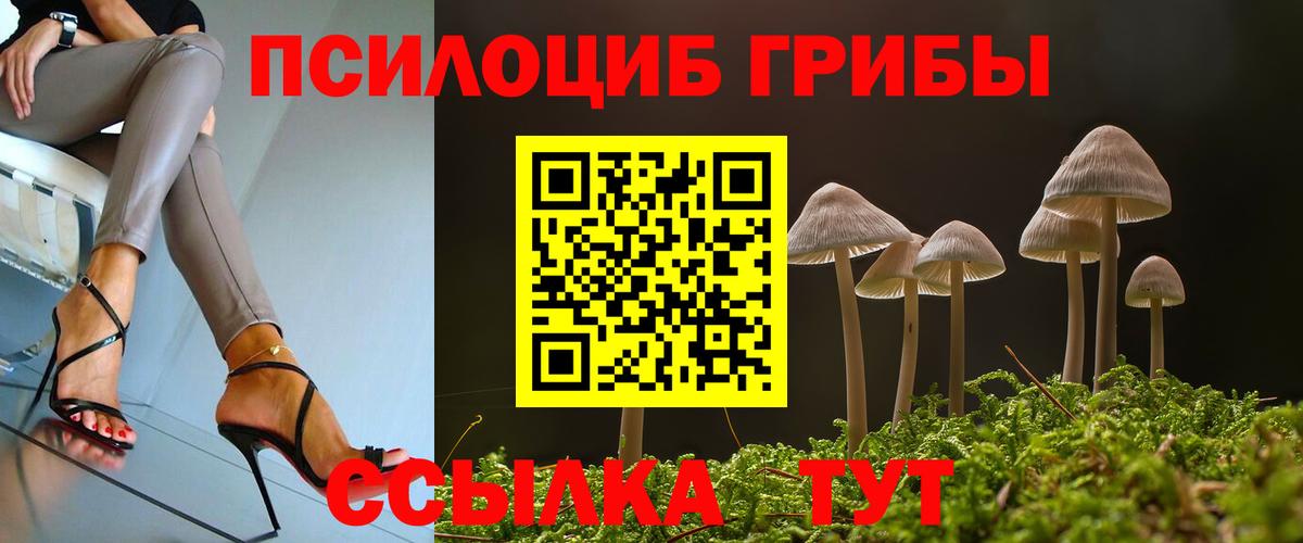 Псилоцибиновые грибы MAGIC MUSHROOMS  Вход с VPN  наркота  Черкесск 